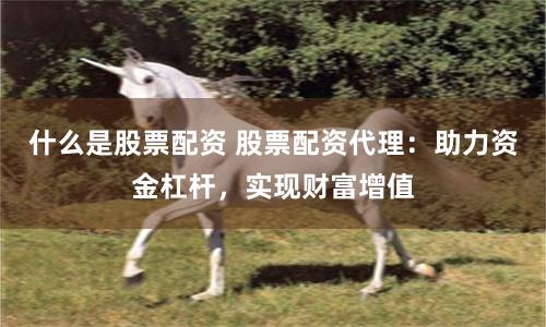 什么是股票配资 股票配资代理：助力资金杠杆，实现财富增值